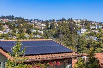 Solar panels on a suburban home, surrounded by lush greenery and a sunny blue sky.